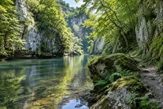 Narrow river bordered by high limestone cliffs and green forests, with a rocky riverside path and morning sunlight filtering through the trees.